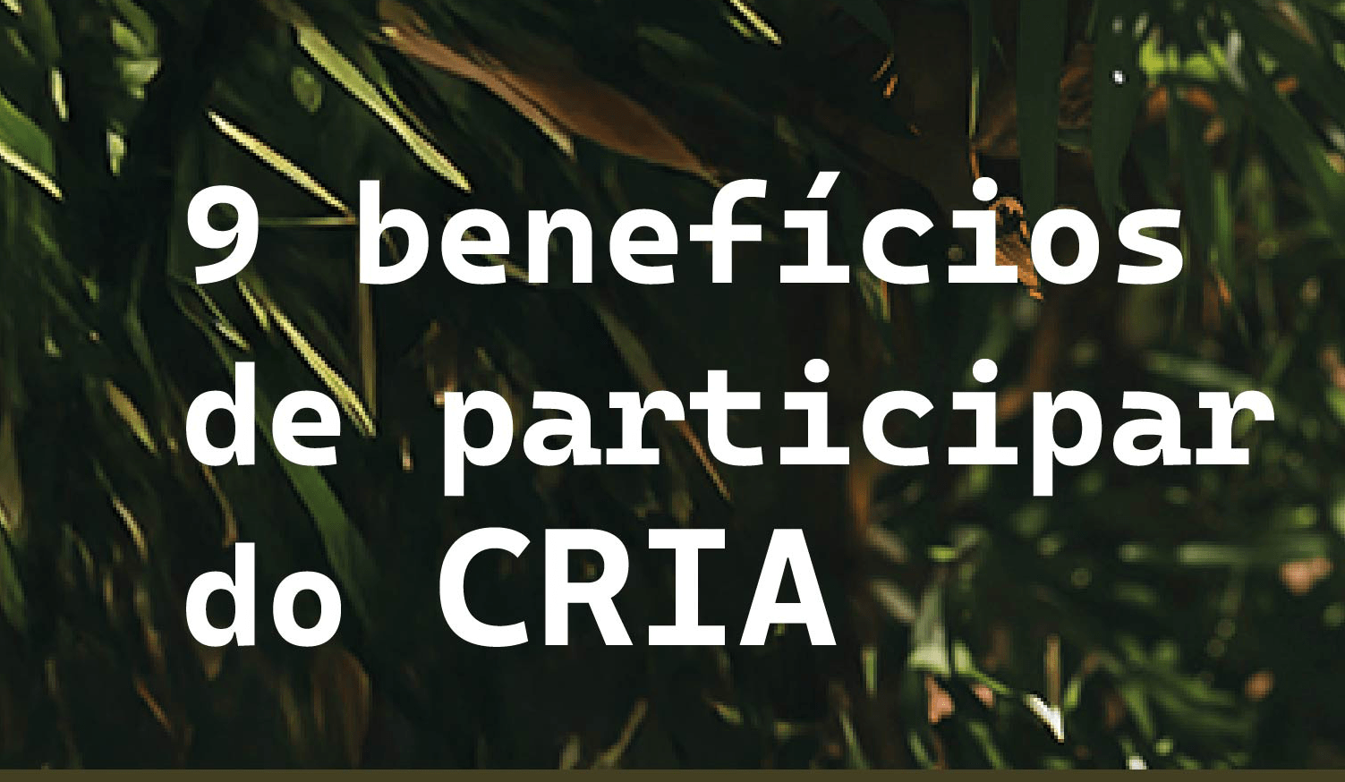 9 motivos para participar do CRIA